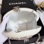 Chanel Resin/Strass Fringe Minaudiere Bag A94666 White 2018