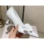 Jimmy Choo Heel 6.5cm Rosalia Flowers 65 Rose Nappa Leather Pumps White 2024