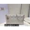 Miss Dior Midi Mini Bag in Cannage Lambskin White