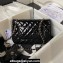 chanel Mirror Calfskin, Calfskin & Gold-Tone Metal Flap Bag & Star Coin Purse AS4648 Black 2024