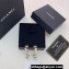 Chanel Metal & Strass Hoop Earrings ABC569 Metal & Strass 2024