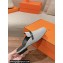 Hermes Groupie mules in H canvas and calfskin with miniature permabrass-plated Paris buckle