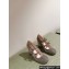 Roger Vivier Heel 9.5cm Bouquet Strass Babies Ballerinas in Glitter Gray 2024