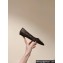 Louis Vuitton LV Night Met Flat Ballerinas in Monogram Canvas 2024