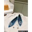 Louis Vuitton LV Night Met Flat Ballerinas in Satin Blue 2024