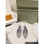 Louis Vuitton LV Night Met Slingback Ballerinas in Satin Gray 2024
