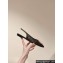 Louis Vuitton LV Night Met Slingback Ballerinas in Monogram Canvas 2024