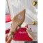 Roger Vivier Heel 5.5cm Virgule Flower Slingback Pumps in Patent Leather Nude 2024