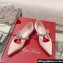 Roger Vivier Bouquet Flower Babies Ballerinas in Satin Nude 2024