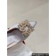 Roger Vivier Heel 4.5cm RV Bouquet Strass Pearl Buckle Pumps in Satin Gray 2024