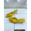 Manolo Blahnik Heel 7cm MAYSALE Suede Buckle Mules Yellow