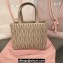 Miu Miu Matelassé nappa leather Handbag 5BG263 Nude