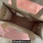 Miu Miu Matelassé nappa leather Handbag 5BG263 Nude