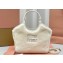 Miu Miu IVY Fur Small Tote bag 5BG276 White