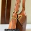 Celine MINI ROMY Bag in SUPPLE CALFSKIN Brown 2024