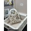 Dior Small Trunk Bag in Beige Multicolor Rêve D'infini Sbalzo Leather 2024