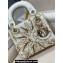Dior Small Trunk Bag in Beige Multicolor Rêve D'infini Sbalzo Leather 2024