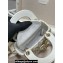 Dior Small Trunk Bag in Beige Multicolor Rêve D'infini Sbalzo Leather 2024