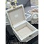 Dior Small Trunk Bag in Beige Multicolor Rêve D'infini Sbalzo Leather 2024