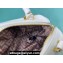 Fendi FF Cube Mini Bag in nappa-leather White 2024