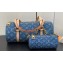 Louis Vuitton Monogram Denim Papillon Bag M46830 Blue New LV Remix 2024 