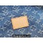 Louis Vuitton Monogram Denim Papillon Bag M46830 Blue New LV Remix 2024 