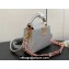 Louis Vuitton Taurillon leather Capucines Mini Bag M23363 Gray 2024
