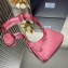 Prada Re-Edition 2005 Re-Nylon Hobo Bag 1BH204 Pink/Gold 2024