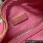 Prada Re-Edition 2005 Re-Nylon and Saffiano Mini Hobo Bag 1NE204 Pink/Gold 2024