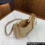 Prada Re-Edition 1995 Chaîne Re-Nylon Mini Hobo Bag 1BC204 Beige 2024