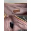 Prada Re-Edition 1995 Chaîne Re-Nylon Mini Hobo Bag 1BC204 Light Pink 2024