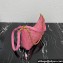 Prada Re-Edition 1995 Chaîne Re-Nylon Mini Hobo Bag 1BC204 Pink 2024