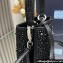 Prada Panier Satin bag with Crystals 1BA373 Black 2024