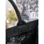 Dior Medium Book Tote Bag in Black D-Lace Butterfly Embroidery 2024