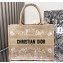 Dior Medium Book Tote Bag in Beige D-Lace Butterfly Embroidery 2024