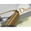 Dior Saddle Shoulder Pouch Bag in Beige Goatskin 2024