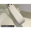 Dior Saddle Shoulder Pouch Bag in White Goatskin 2024