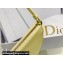 Dior Saddle Shoulder Pouch Bag in Yellow Goatskin 2024