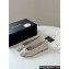 Chanel Suede Calfskin Ballet flats G02819 Light Gray 2024