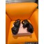 Miu Miu Lambskin Sandals in Black 2024