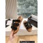 Celine Tippi Slides In Shearling And Calfskin Black 2024