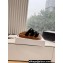 Celine Tippi Slides In Shearling And Calfskin Black 2024