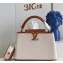 Louis Vuitton Taurillon leather and canvas Capucines MM Bag M59969 Brown