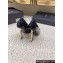 Saint Laurent Heel 10.5cm Opyum Pumps in patent leather 472011 Black/Gold