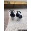 Saint Laurent Heel 8.5cm Opyum sandals in leather 557679 Black/Silver