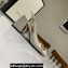 Gucci Heel 2.5cm/5.5cm/7.5cm slingbacks with Horsebit in leather White