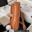 Chanel Shiny Calfskin & Gold-Tone Metal Hobo Handbag AS4743 Brown 2024