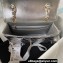 Chanel Mirror Calfskin, Calfskin & Gold-Tone Metal Backpack Bag & Star Coin Purse AS4649 Metallic Silver 2024