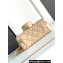 Chanel Lambskin & Gold-Tone Metal Camera Bag AS4817 Beige 2024