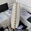 Chanel Gold-Tone Metal Large Hobo Bag AS4450 White 2024